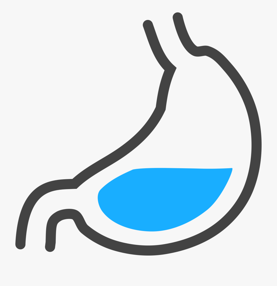 Png Images Stomach - Stomach Acid Clipart Transparent, Transparent Clipart