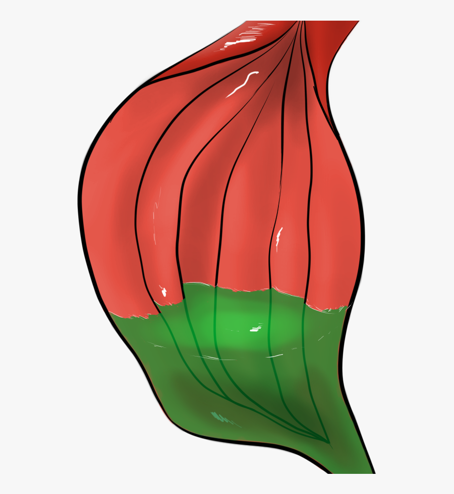 Free To Use Stomach With Acid, Transparent Clipart