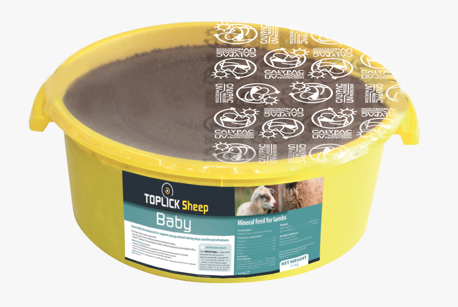 Toplick Sheep Baby - Rat, Transparent Clipart