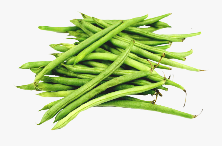 Bean Png Images Free - Green Beans Transparent Background, Transparent Clipart