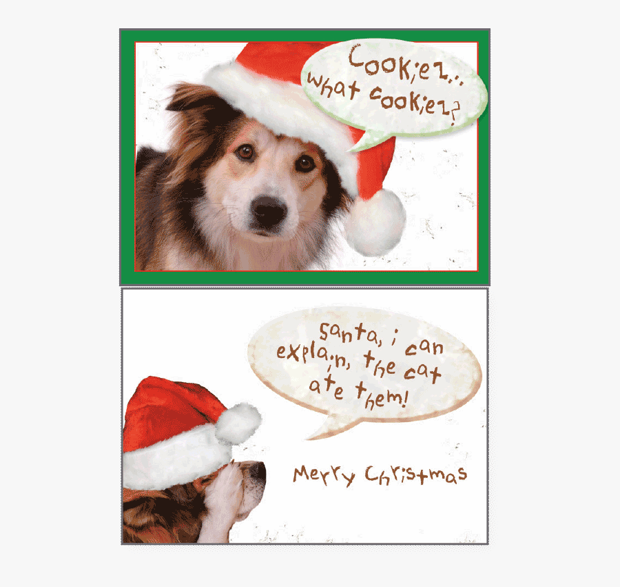 Clip Art Cards Speak Holiday Santai - Companion Dog, Transparent Clipart