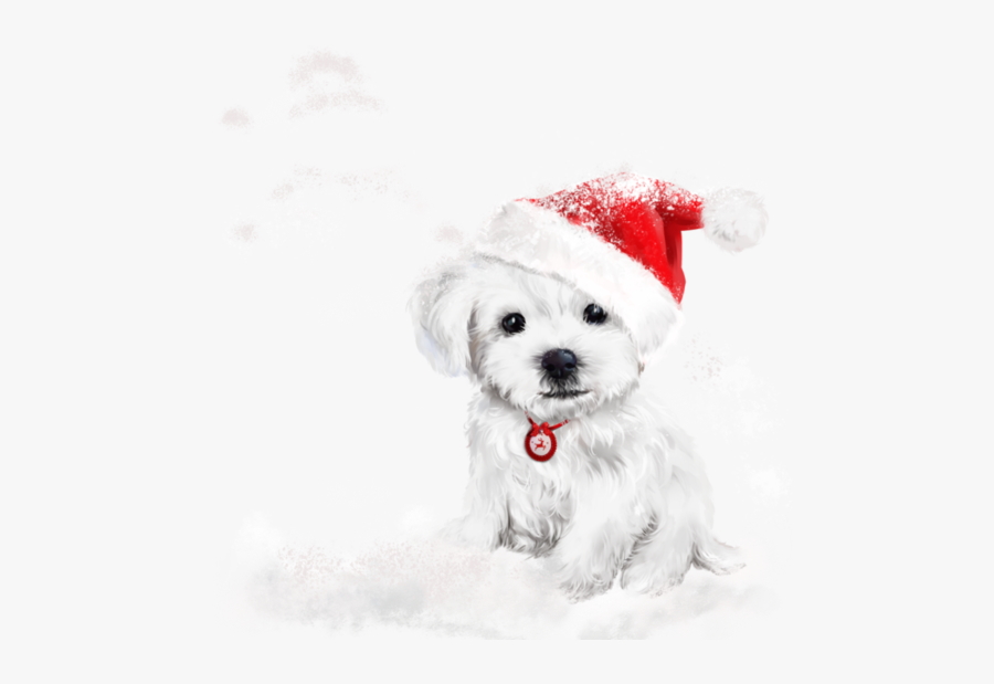 Kajenna Art Christmas, Transparent Clipart