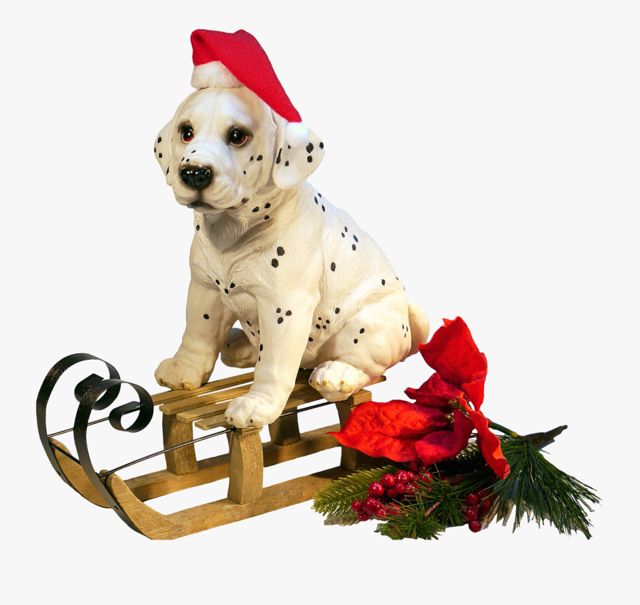 Christmas Dog Transparent, Transparent Clipart