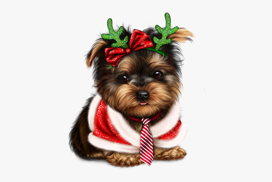 Yorkshire Terrier Transparent, Transparent Clipart