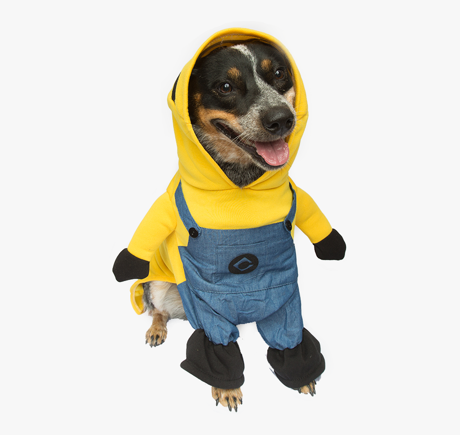 Transparent Christmas Sweater Clipart Black And White - Dog Costume Png Transparent, Transparent Clipart