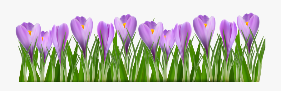 Spring Flowers Cartoon, Transparent Clipart