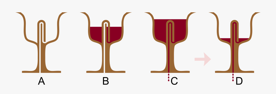 Pythagorean Cup, Transparent Clipart