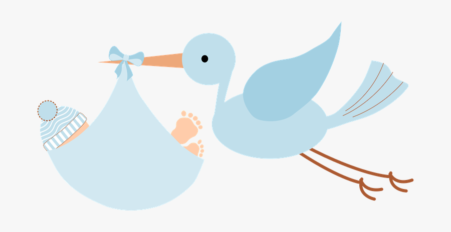Duck, Transparent Clipart