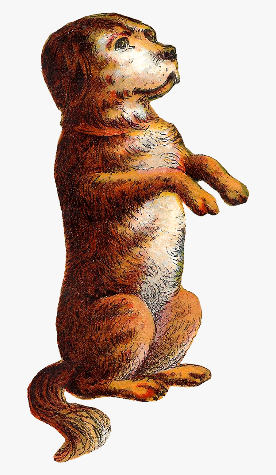 Animal Dog Begging Clip Art Digital Download Cute Image - Punxsutawney Phil, Transparent Clipart