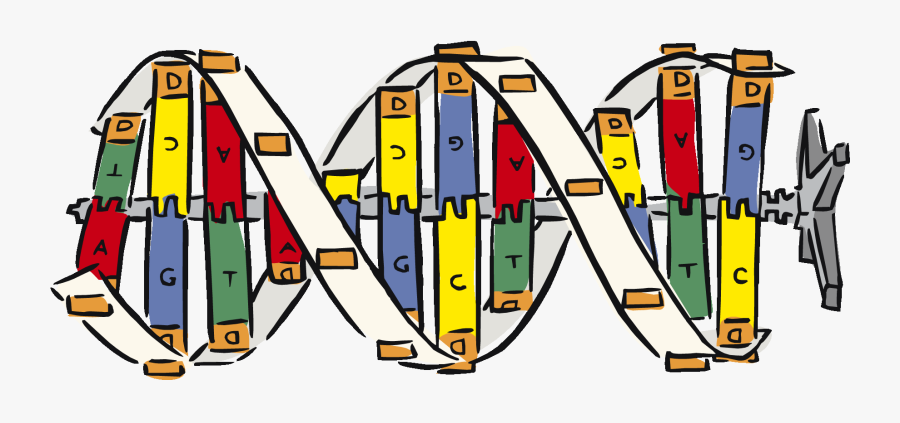 Banner Royalty Free Library Brain And Body Genes Tw - Genes Clipart Transparent Background, Transparent Clipart