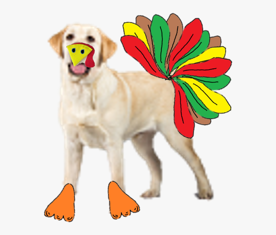 Thanksgiving Break Is November 22-24 - Dog Catches Something, Transparent Clipart