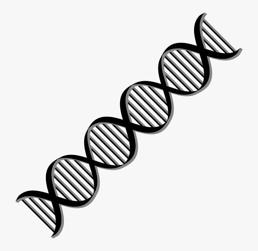 Dna Png Free Download - Dna Png, Transparent Clipart