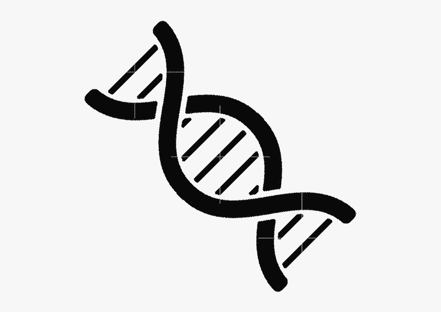 Genetika Png, Transparent Clipart
