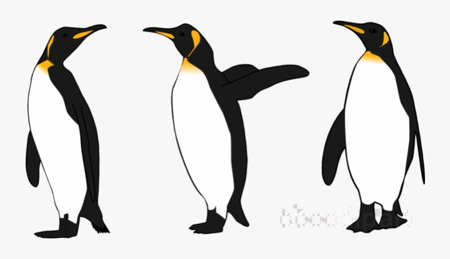Penguin Emperor Clip Art Clipart Transparent Png - Realistic Penguin Clip Art, Transparent Clipart