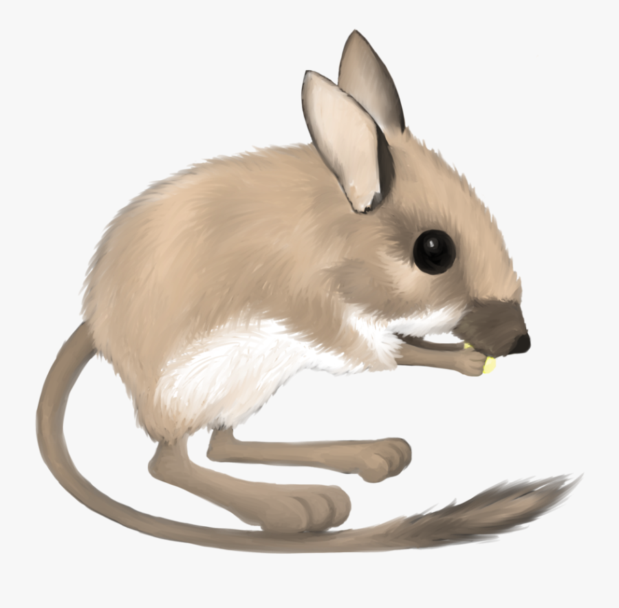 Rat Clipart Vector - Kangaroo Rat No Background, Transparent Clipart
