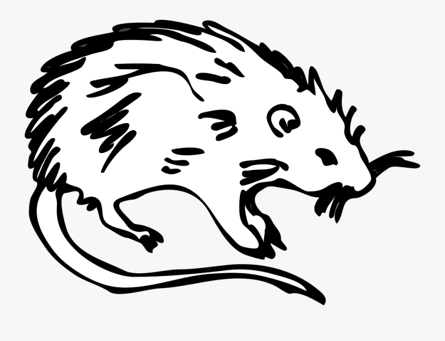 Transparent Cute Rat Clipart - Cartoon The Black Death Rats, Transparent Clipart