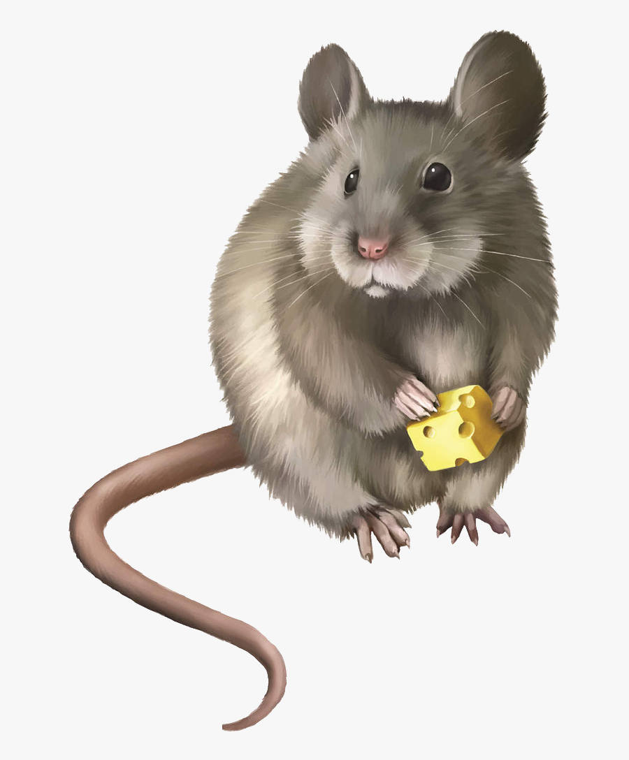 Mice Clipart Rodent - Мышь Пнг, Transparent Clipart
