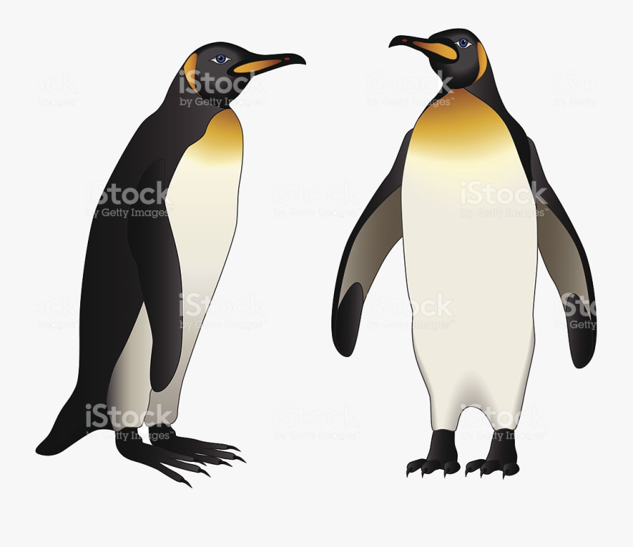 Penguin Emperor Clip Art Vector Images Illustrations - Emperor Penguin, Transparent Clipart