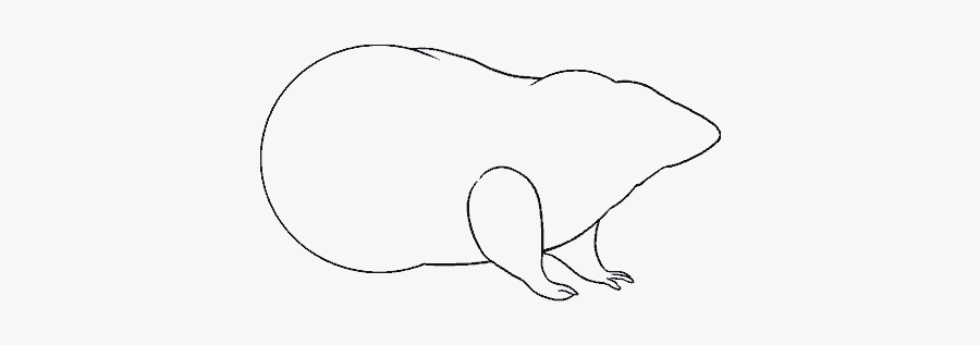How To Draw Rat - Sketch, Transparent Clipart