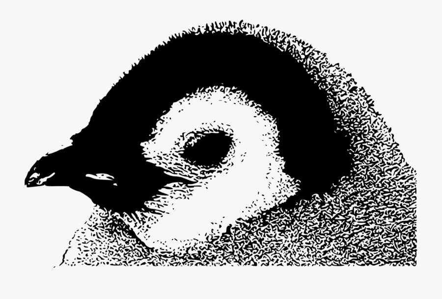 Roman Emperor Svg Vector File, Vector Clip Art Svg - Emperor Penguin Chick Icon, Transparent Clipart