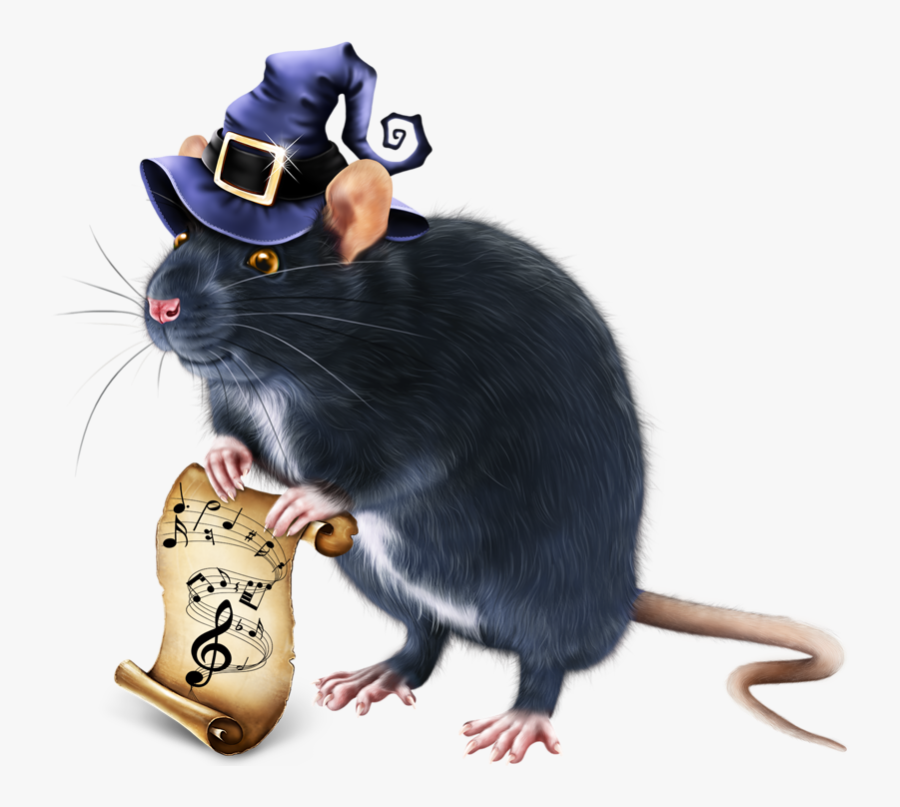 Portable Network Graphics, Transparent Clipart