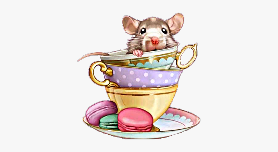 #rat #teacup #macaroons #teaparty #freetoedit - Rat, Transparent Clipart