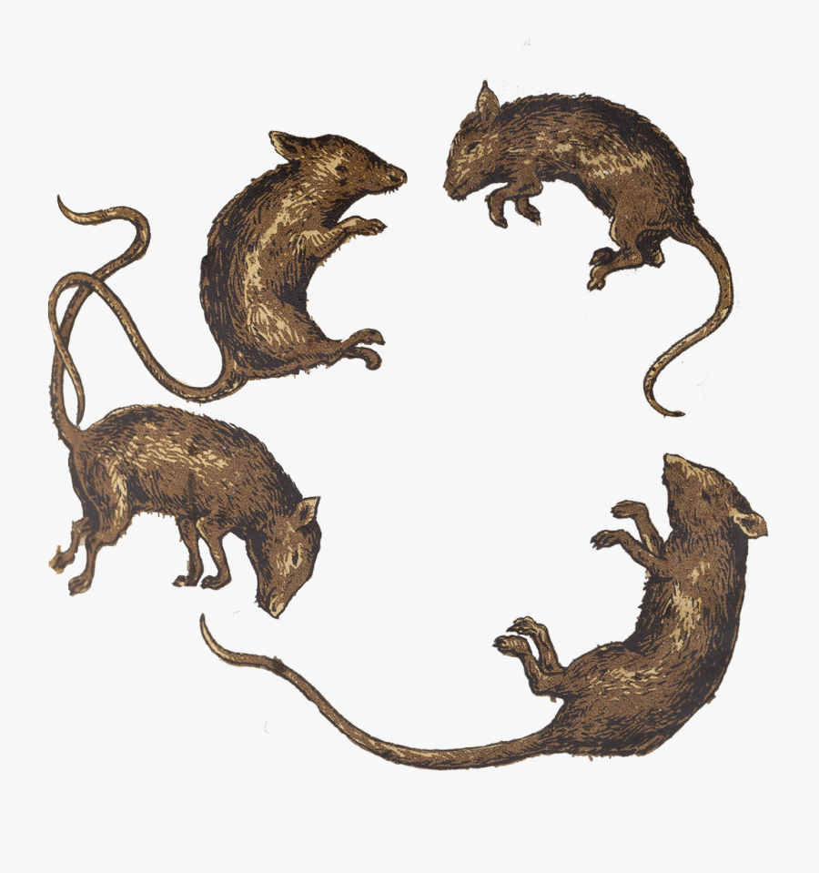 Mouse, Transparent Clipart