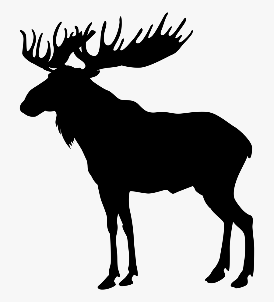 A Moose Once Bit My Sister - Love Meme