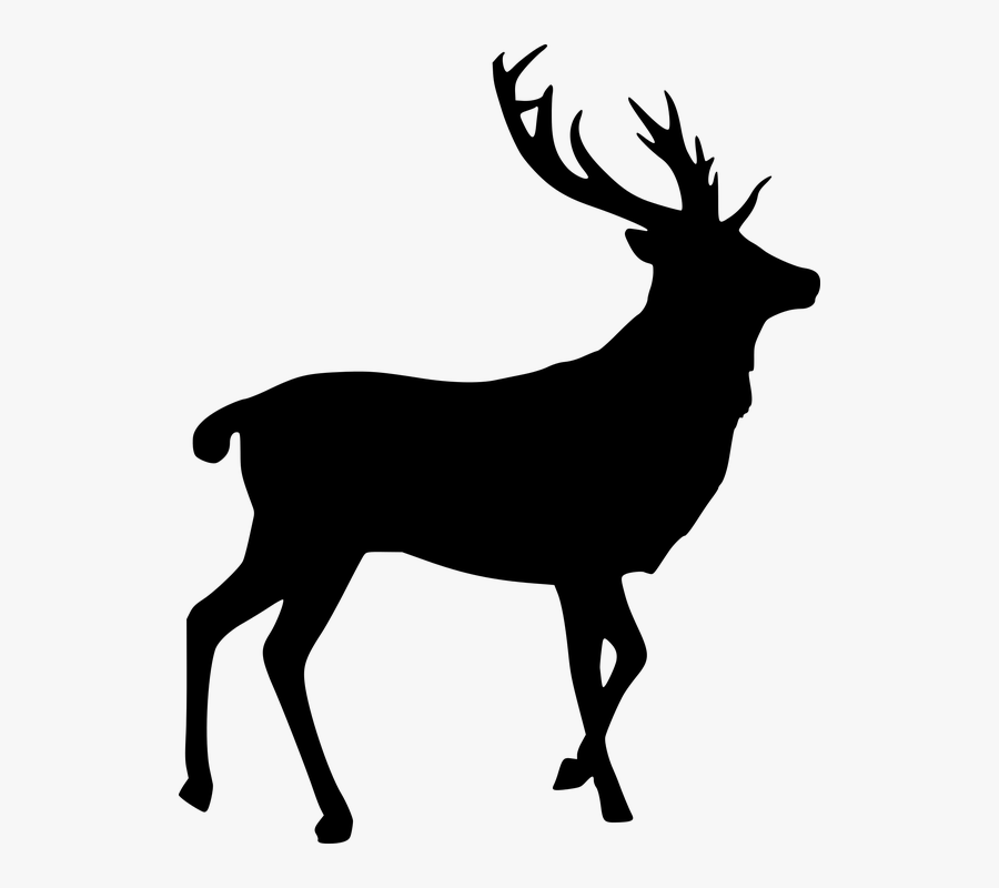 Deer Transparent Background, Transparent Clipart