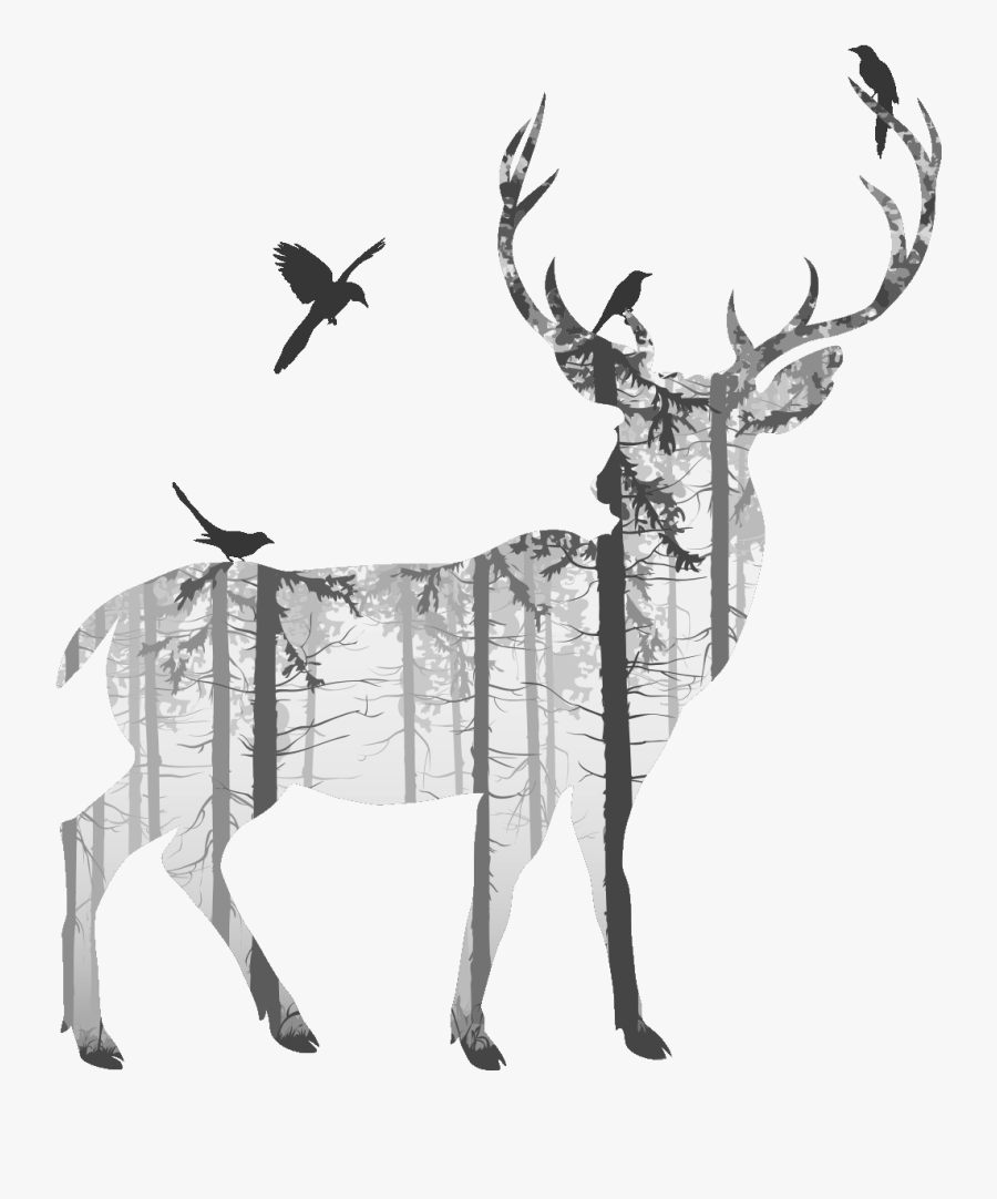 Deer Photography Transprent Png Free Download Black - Stickers Muraux Cerf, Transparent Clipart