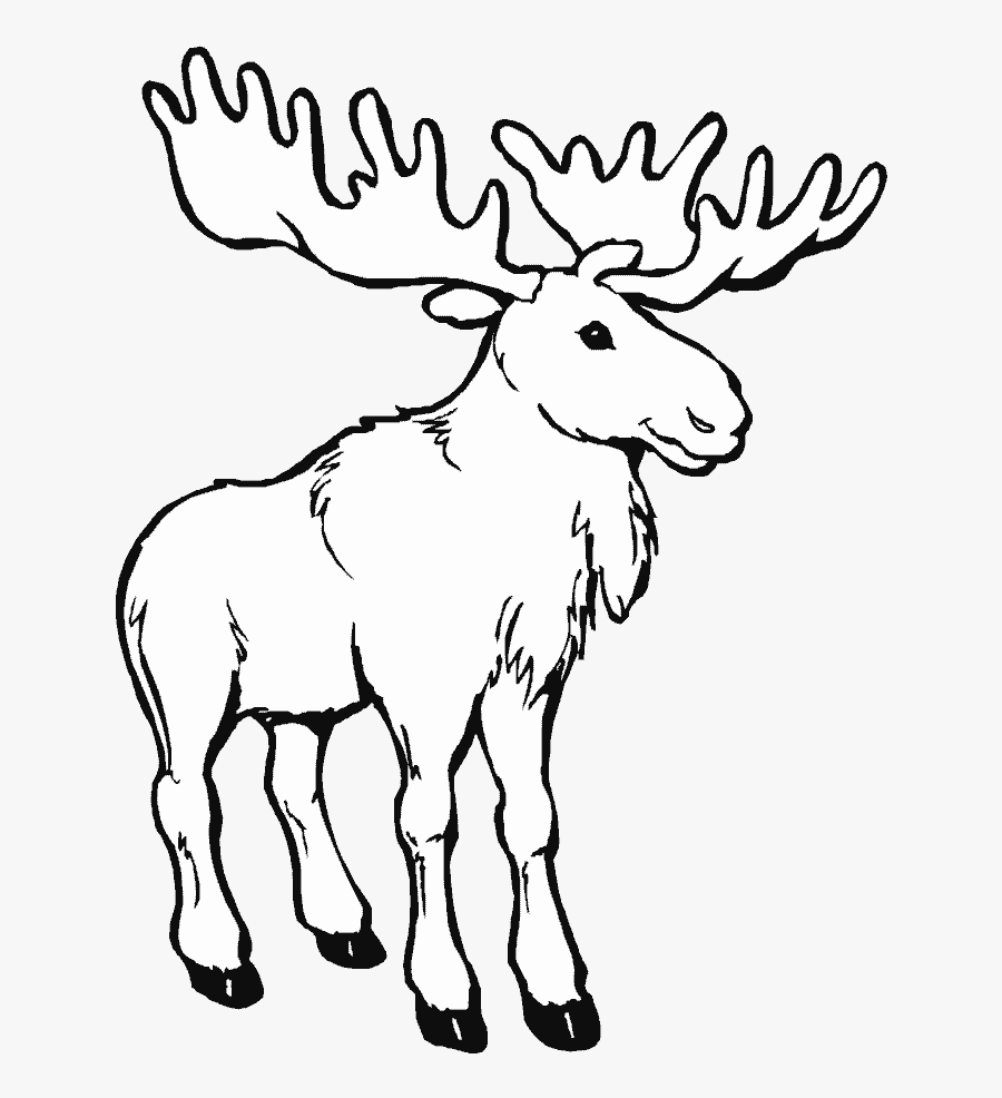 Transparent Elk Clipart Black And White - Canada Day Clip Art Black And White, Transparent Clipart