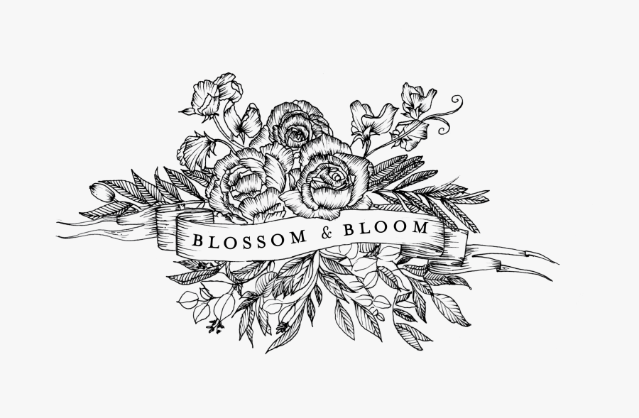 Blossom And Bloom - Illustration, Transparent Clipart