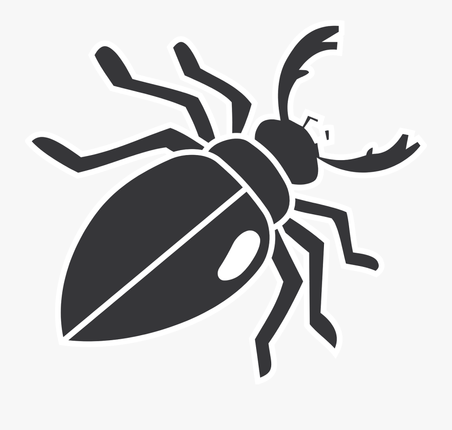Beetle Clipart Transparent, Transparent Clipart