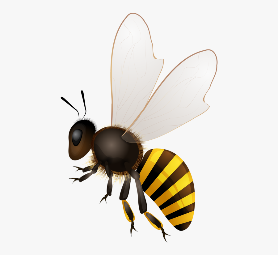 Clip Download Abeilles Abeja Abelha Png Bees Pinterest - Bees Png, Transparent Clipart