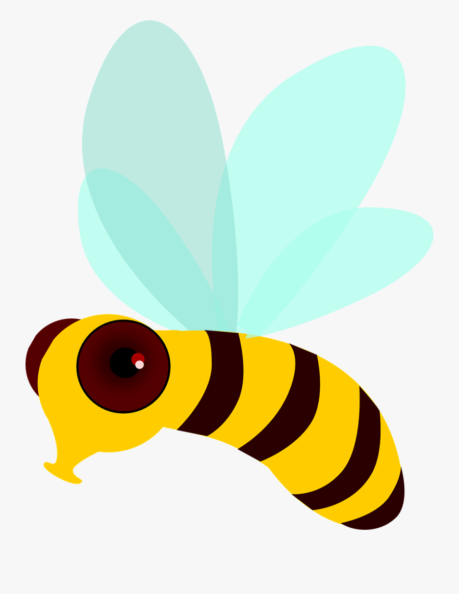 Honey Bee Bee Fly Insect Wings Png Image - ภาพ เคลื่อนไหว ผึ้ง บิน, Transparent Clipart