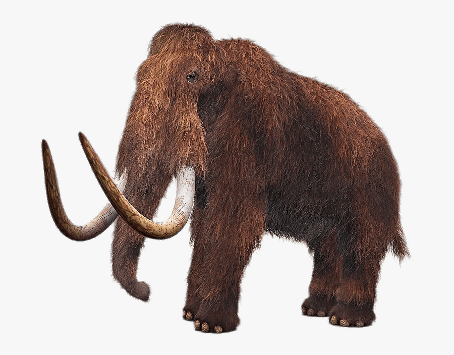 Wooly Mammoth, Transparent Clipart