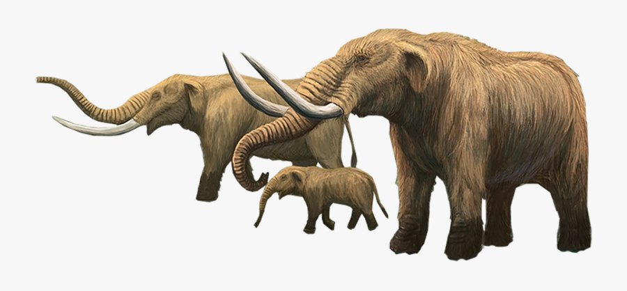 Mammoth Clipart Mastodon - Mastodon Png, Transparent Clipart