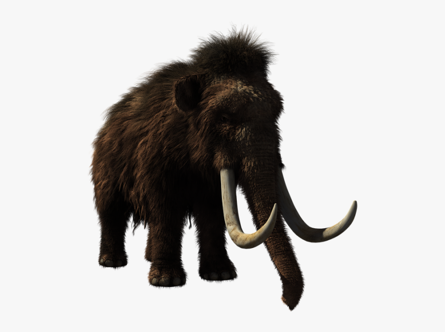 Woolly Mammoth, Transparent Clipart