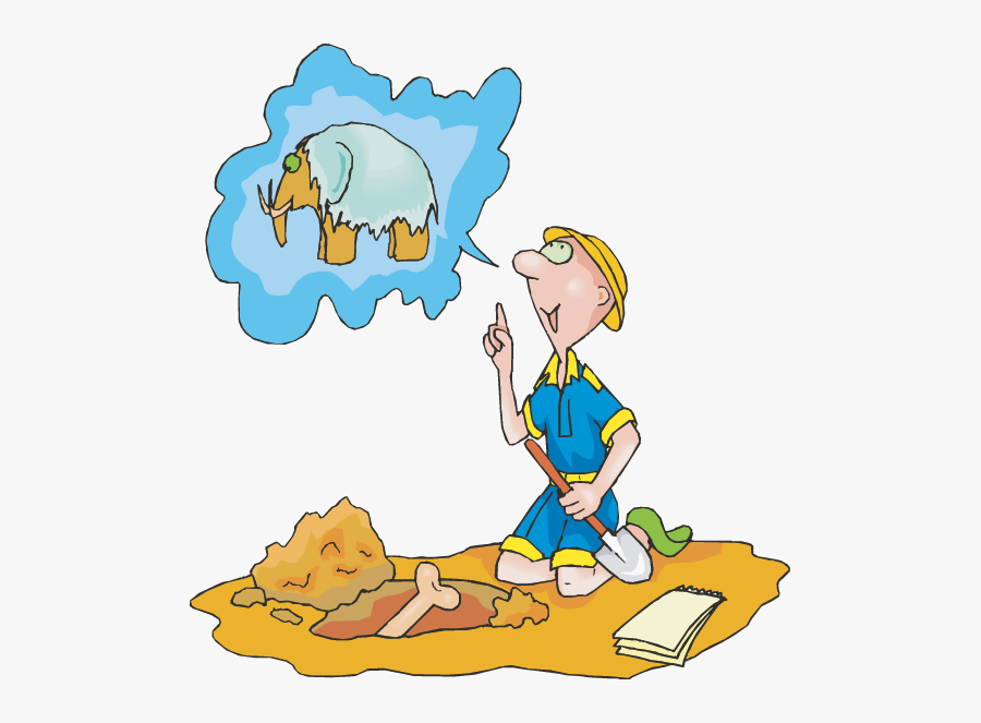 Paleontologist Clipart Png Transparent Png , Png Download - Paleontologist Clipart Png, Transparent Clipart