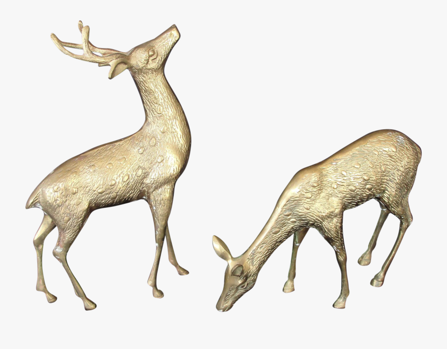Clip Art Decorative Deer - White-tailed Deer, Transparent Clipart