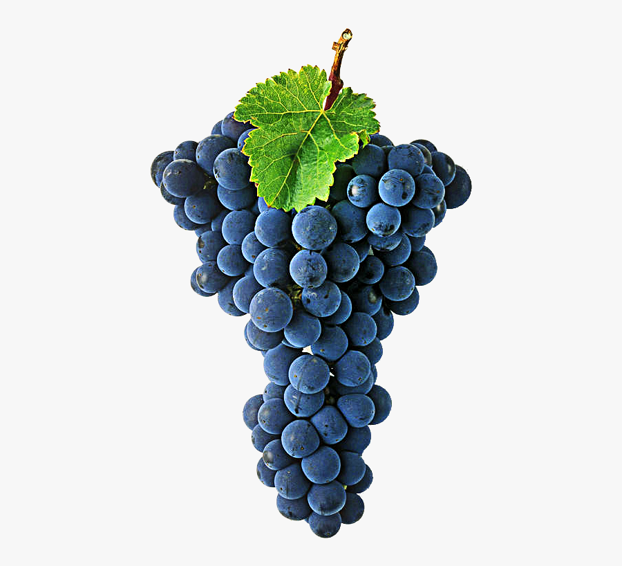 Grape Transparent Wine - Cabernet Sauvignon Wine Grapes, Transparent Clipart