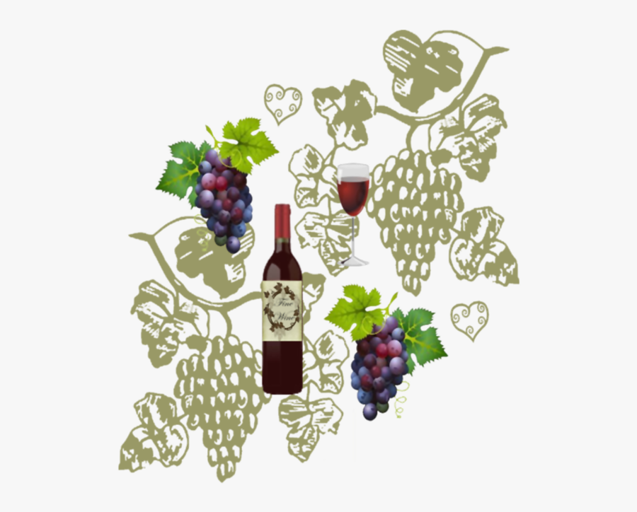 Transparent Wine Grapes Png - Grapes For Wine Lable, Transparent Clipart