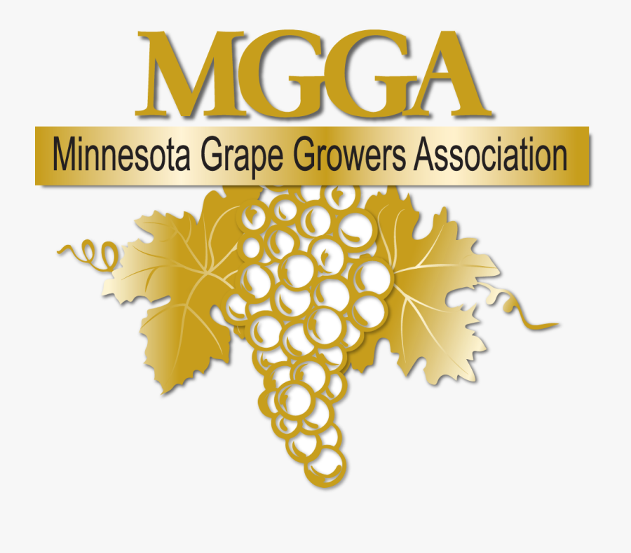 Gold Grapes Png, Transparent Clipart