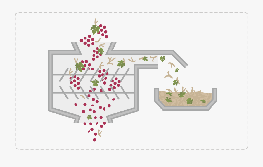 Grape Destemming, Transparent Clipart