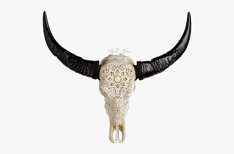 Clip Art Bull Head Skulls - Engraved Buffalo Skull, Transparent Clipart