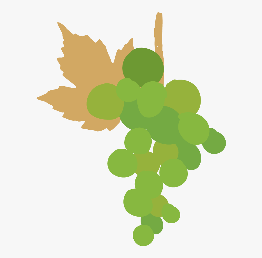 Temjanika-01 - Feuille De Vigne Dessin, Transparent Clipart