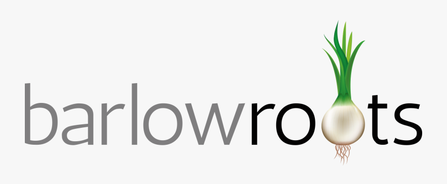 Zucchini/summer Squash On The Grill - Line Art, Transparent Clipart