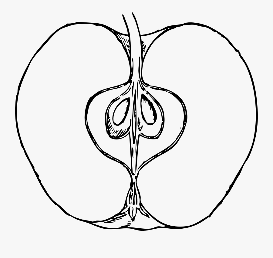 Section - Clipart - Half Apple Clipart Black And White, Transparent Clipart