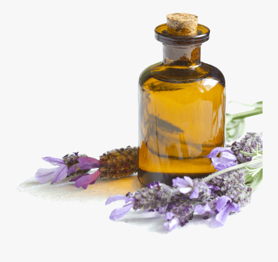 Transparent Oil Png - Lavender Essential Oil Png, Transparent Clipart