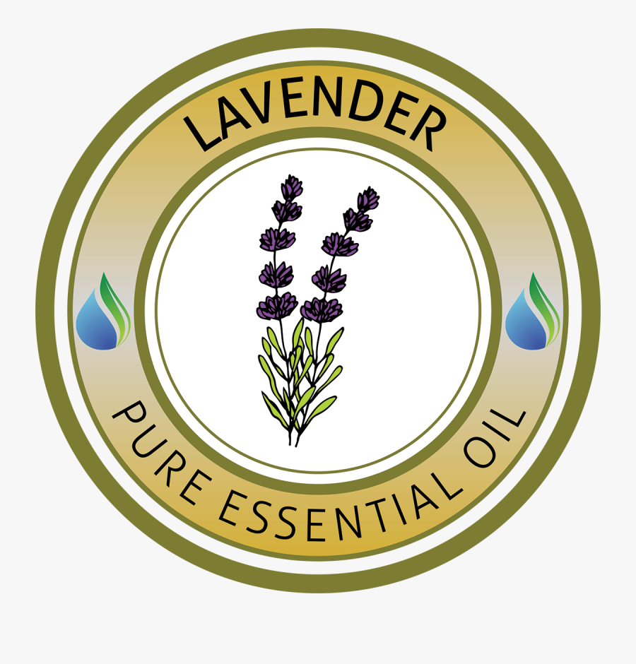 Essential Oils Supplies Usa - Essential Oil, Transparent Clipart